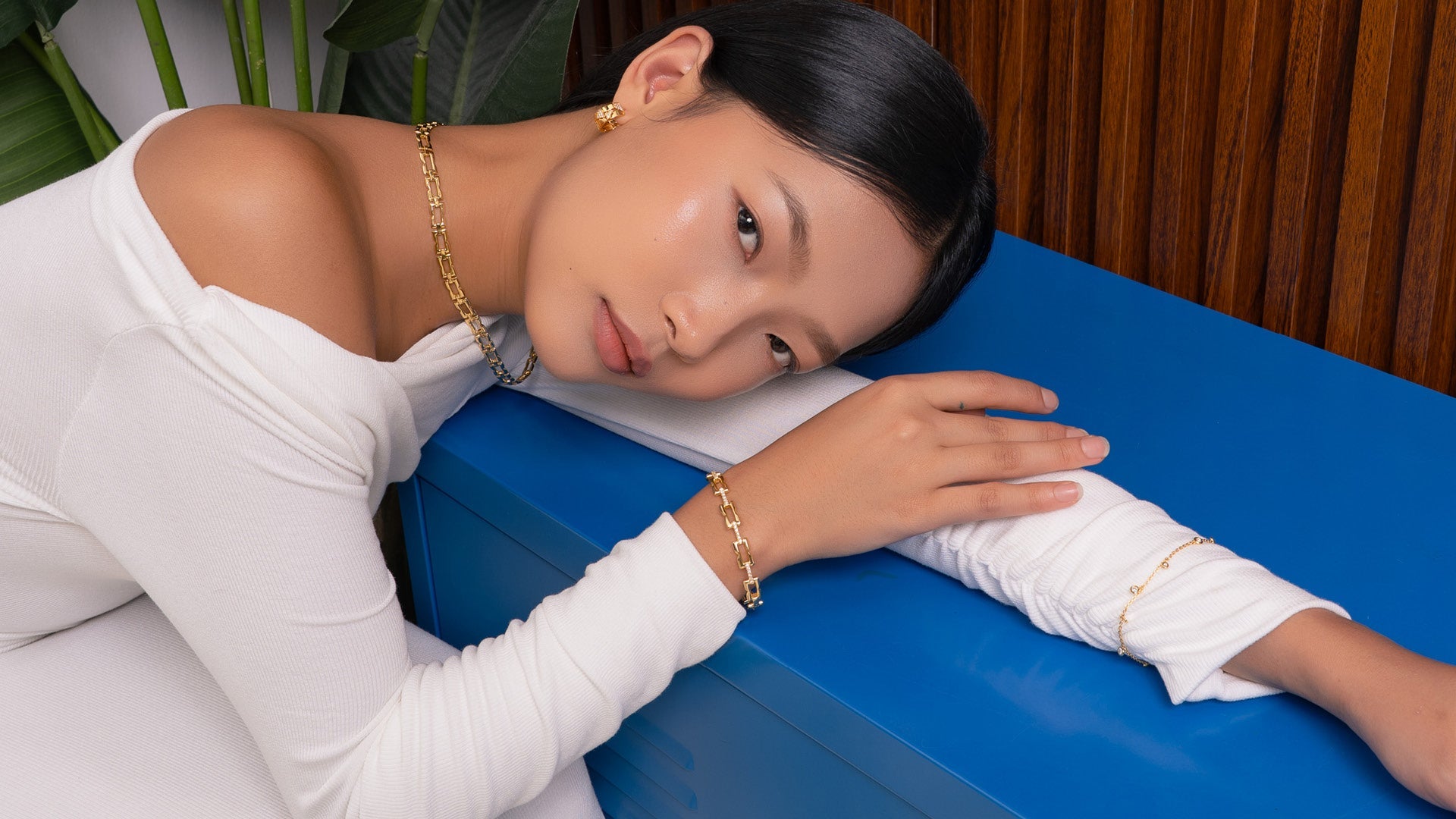 LAVANA Signature Collection banner showcasing elegant gold and silver jewellery pieces on display