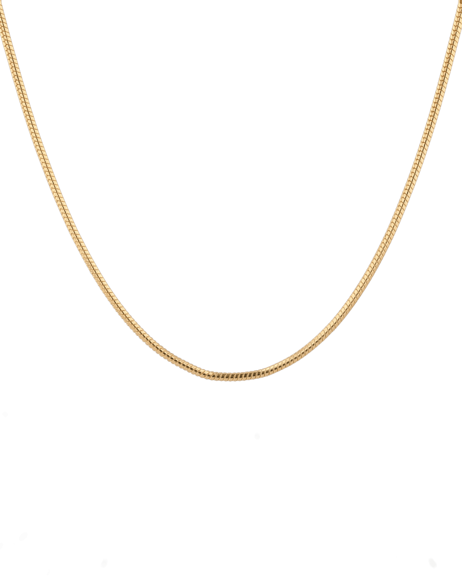 Cali Gold Snake Chain Necklace by Lavana, with sleek, flat snake chain, polished finish, front view